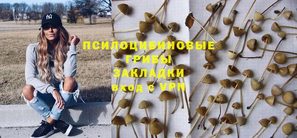 соль ск Армянск