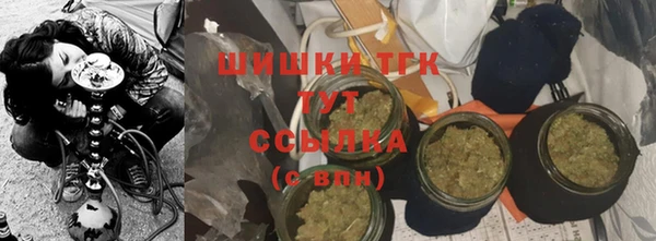 ПСИЛОЦИБИНОВЫЕ ГРИБЫ Арсеньев