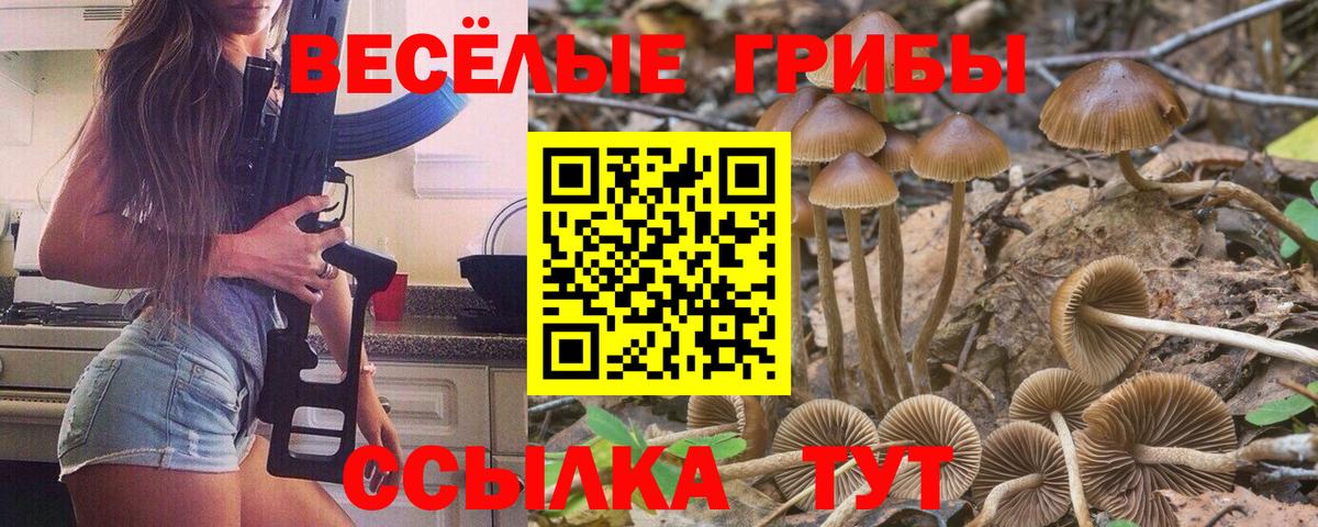 Галлюциногенные грибы Magic Shrooms Пушкино